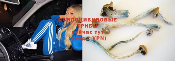 спиды Абдулино