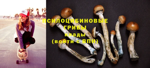 спиды Абдулино